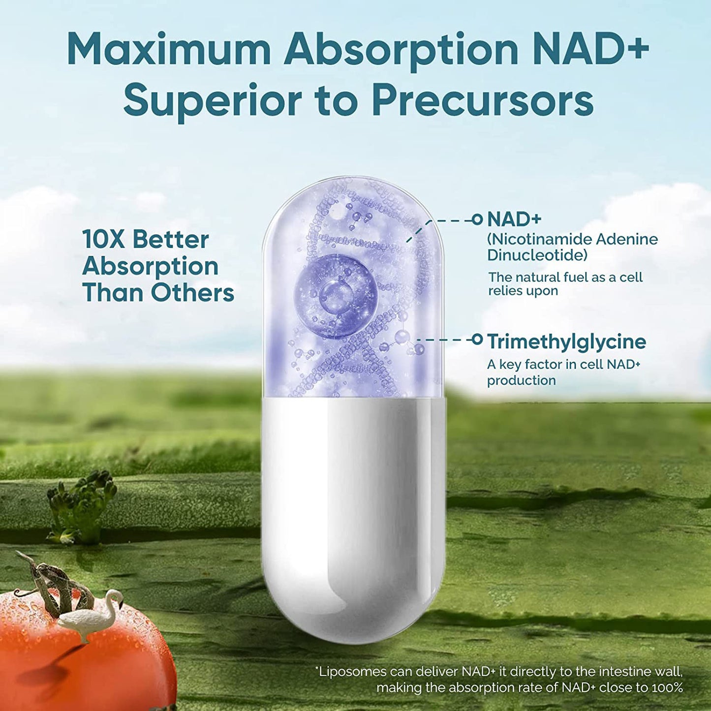 NAD+ Capsules